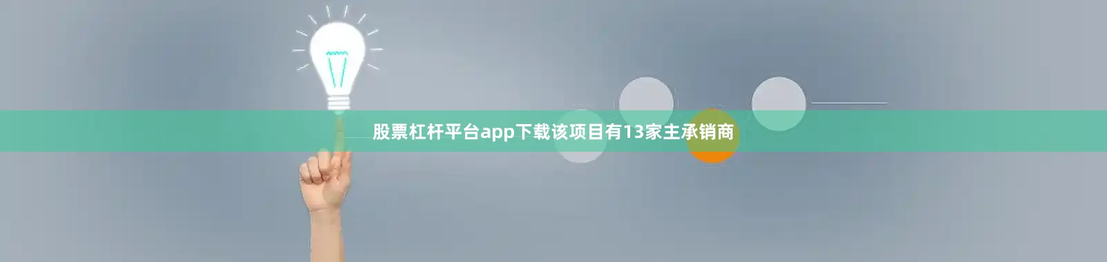股票杠杆平台app下载该项目有13家主承销商
