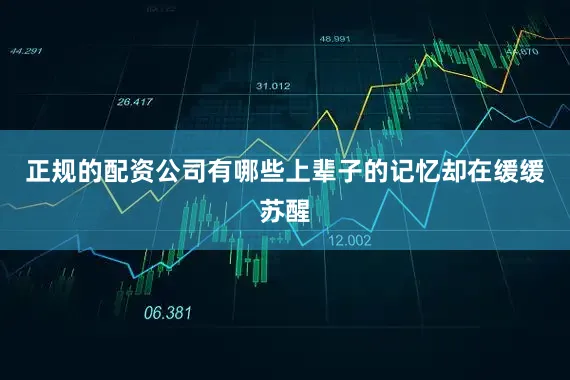 正规的配资公司有哪些上辈子的记忆却在缓缓苏醒