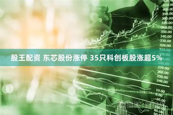 股王配资 东芯股份涨停 35只科创板股涨超5%